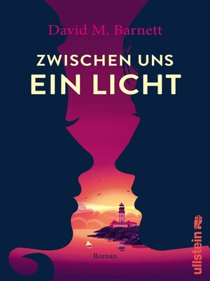 cover image of Zwischen uns ein Licht